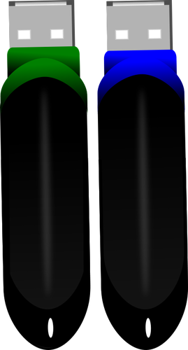 İki flash sürücüler vektör görüntü