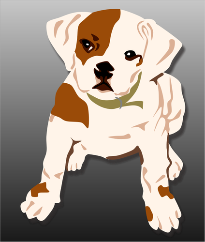 Bulldog puppy vector illustration