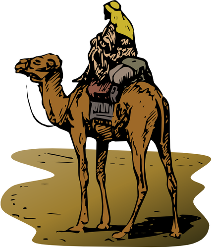 Camel with rider vector clip art