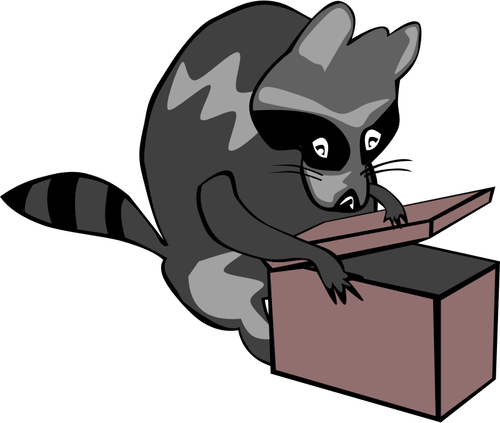 Raccoon opening box vector illustration in color