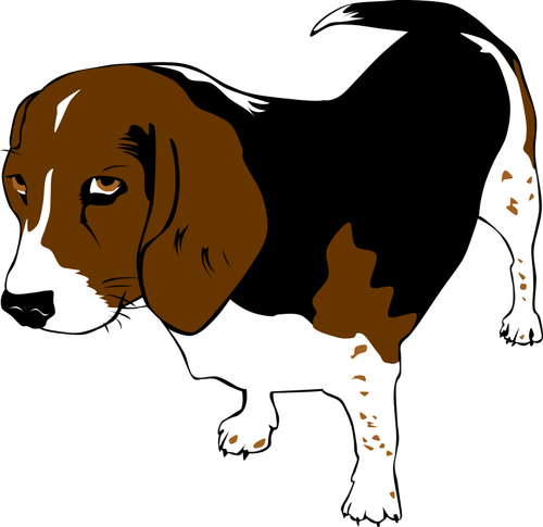 Beagle-koiran vektori ClipArt