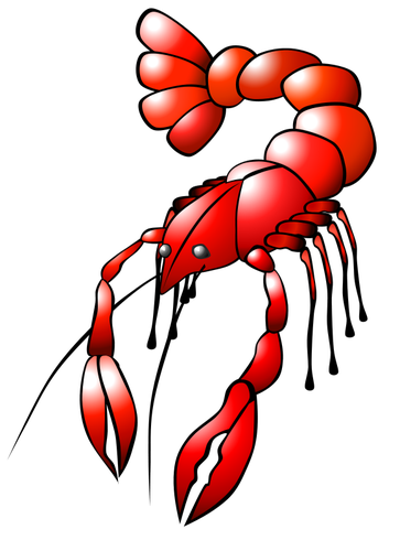 Red crawfish vector graphics