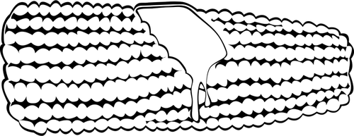 Maïs vectorafbeeldingen