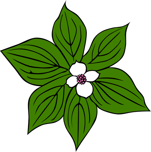 פרח עם עלים ירוקים גרפיקה וקטורית