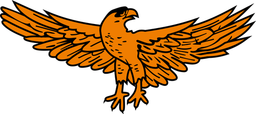 Golden eagle obrázek