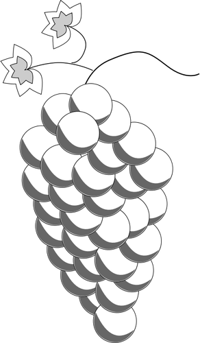 Dibujo de uvas