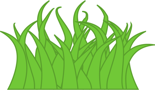 Vector graphics of multicolor grass