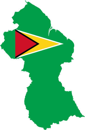 가이아나의 국기