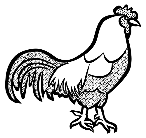 Černé a bílé image kuře