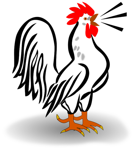 Image vectorielle poulet mâle