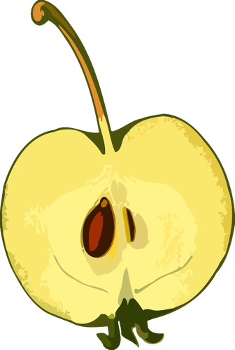 Sementes e maçã