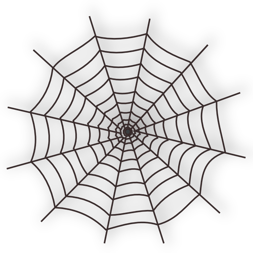 Vector illustration of spider web