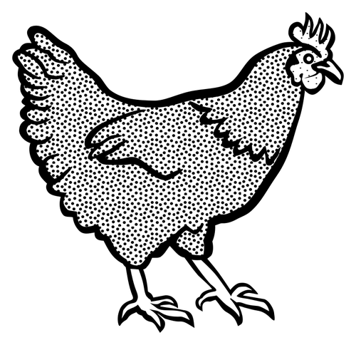 Hen