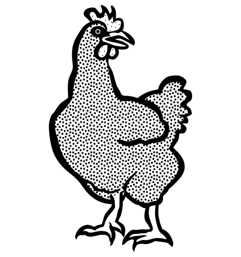 Coloring book image of a hen