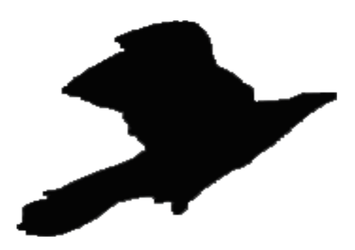 Crow vector silhouette