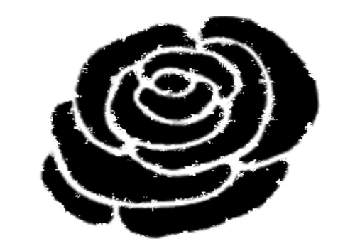 Rose vector drawing