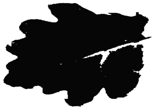 Black leaf vector image