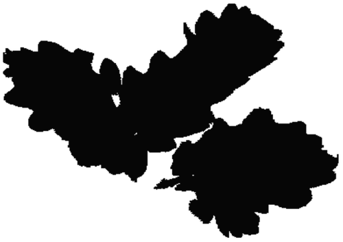 Leaf vector silhouette