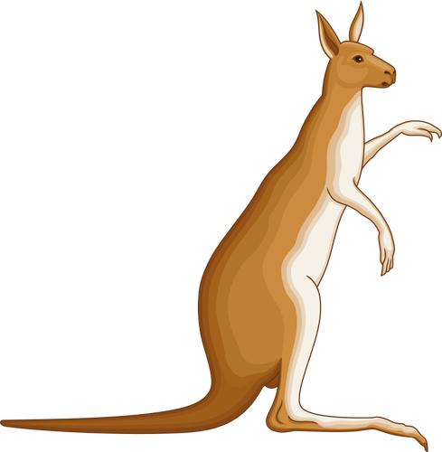 Känguru-Bild