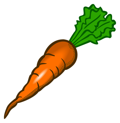 नारंगी गाजर