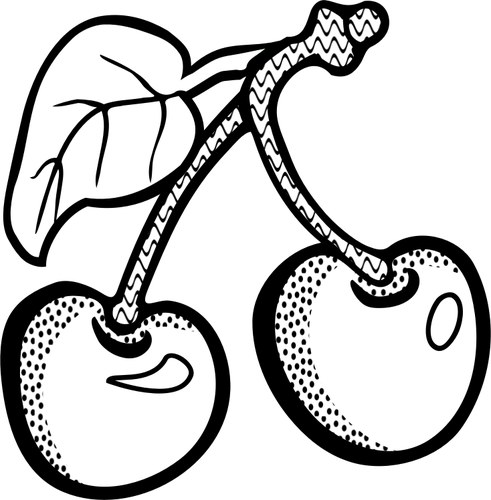 Vector graphics of two cherries in black and white