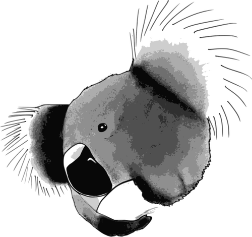 Clip art del oso de koala