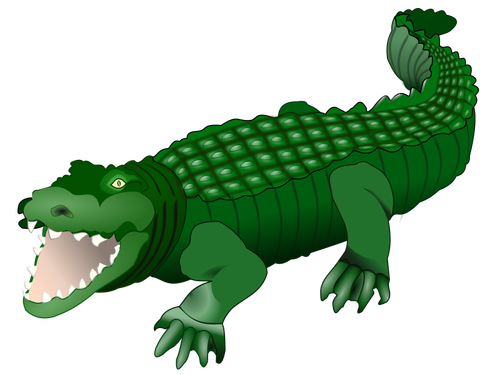 Crocodile