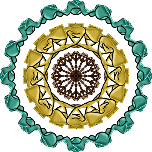 Imagen mandala colorido