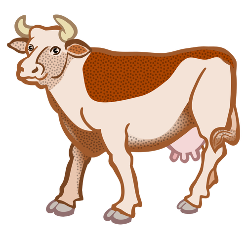 褐色的母牛