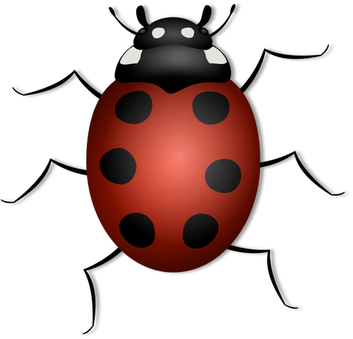 Ilustración de vector Ladybug