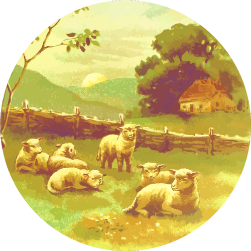 כבשים