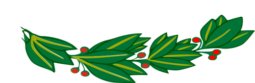 Rama de laurel con dibujo vectorial de frutos rojos