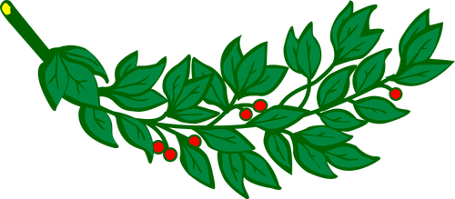Lauriertak met rode bessen vector afbeelding
