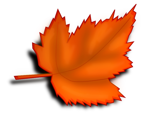 Autumn brown leaf vector image