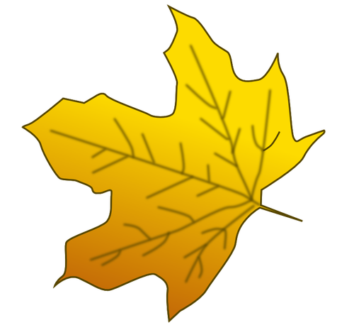 Yellow maple leaf vector image