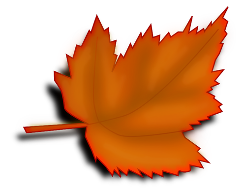 Orange fall leaf vector image