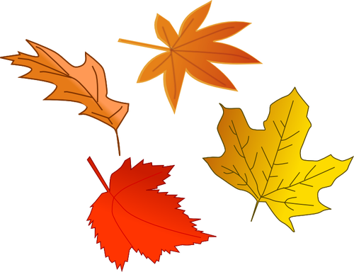 Podzimní listí výběr vektorový obrázek