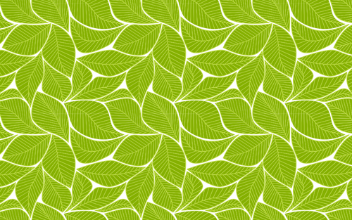 Patrón de hojas