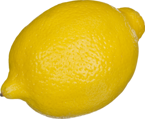 Lemon vector illustration