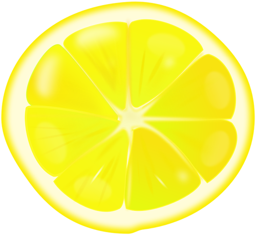 Lemon slice vector image