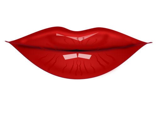 官能的な女性の唇のベクトル イラスト