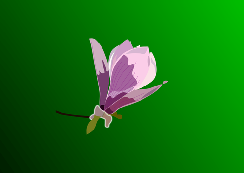 De desen vector de magnolie