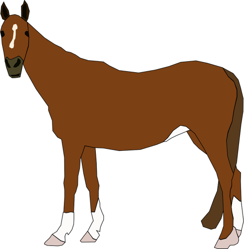 Vector illustration of brown horse standing