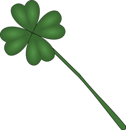 Clover plant vector