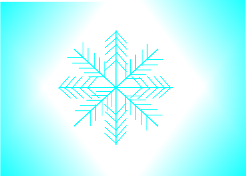 Snowflake illustration vector