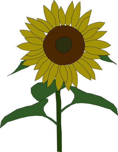 Grafica vettoriale girasole