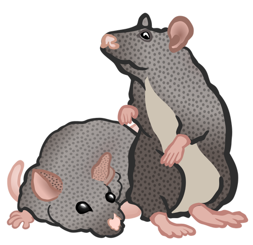 الفئران