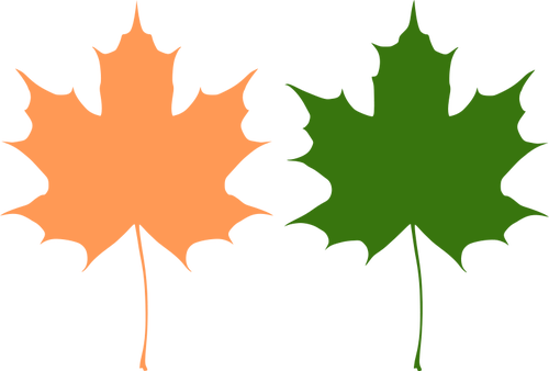 Laranja e verde maple folhas de desenho vetorial