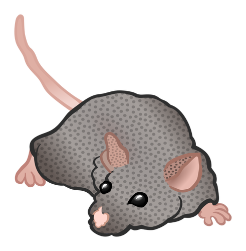 Schnüffelnde Maus
