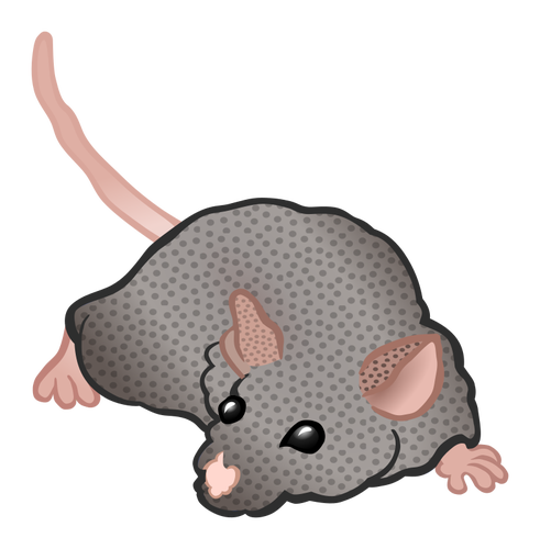 Rastreo de mouse